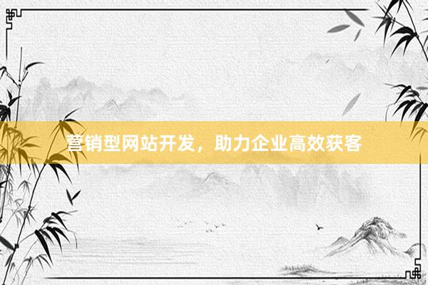 营销型网站开发，助力企业高效获客
